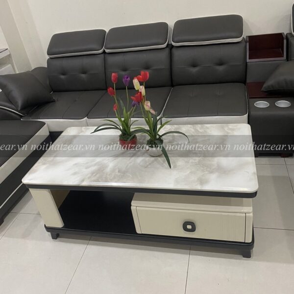 Bàn trà nhập khẩu 13