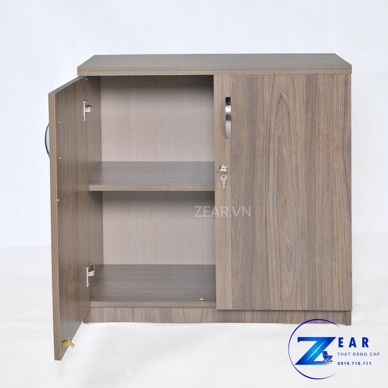 Tủ tài liệu thấp 2 cánh